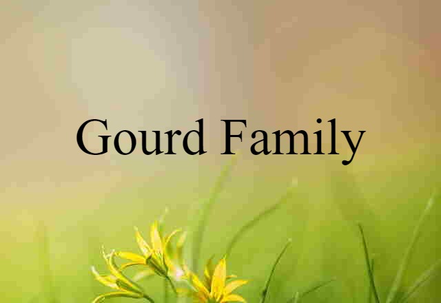 Gourd Family (noun) Definition, Meaning & Examples