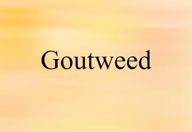 goutweed