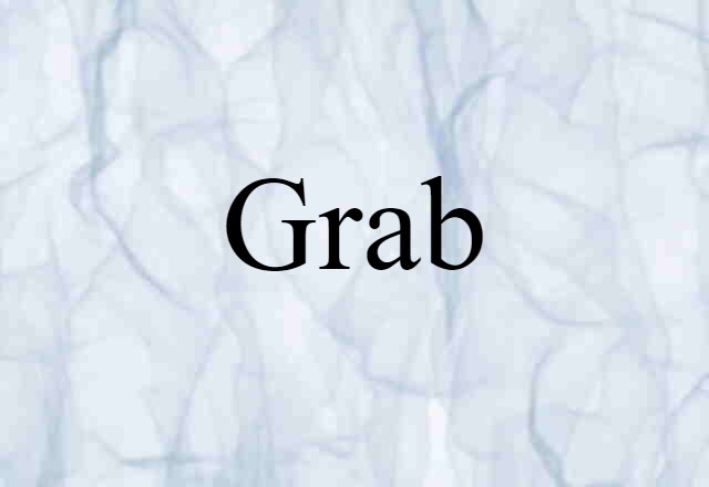 Grab (noun) Definition, Meaning & Examples