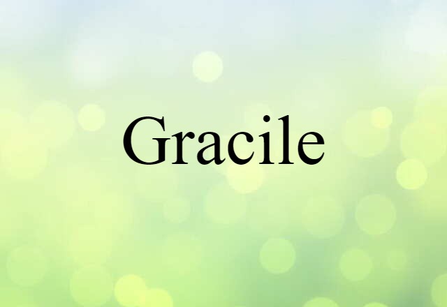 Gracile (noun) Definition, Meaning & Examples