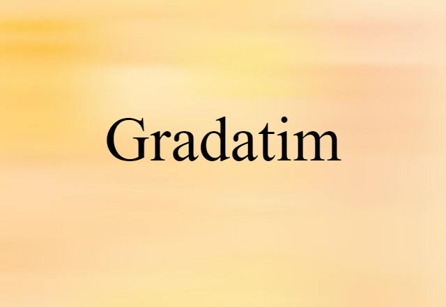 Gradatim (noun) Definition, Meaning & Examples