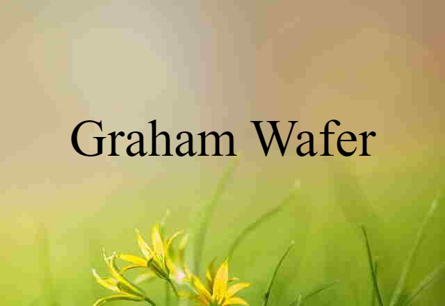 Graham Wafer (noun) Definition, Meaning & Examples