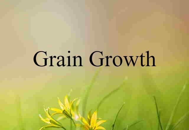 grain growth