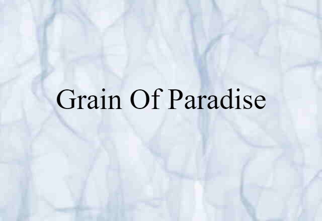 Grain Of Paradise (noun) Definition, Meaning & Examples