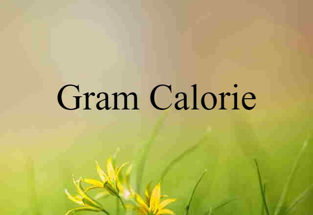 gram calorie