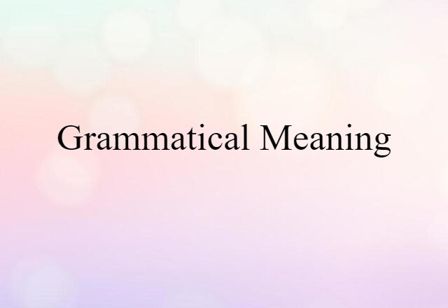 Grammatical Meaning (noun) Definition, Meaning & Examples