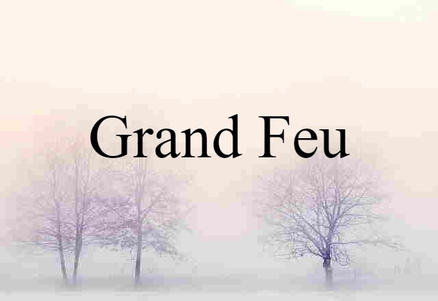 Grand Feu (noun) Definition, Meaning & Examples