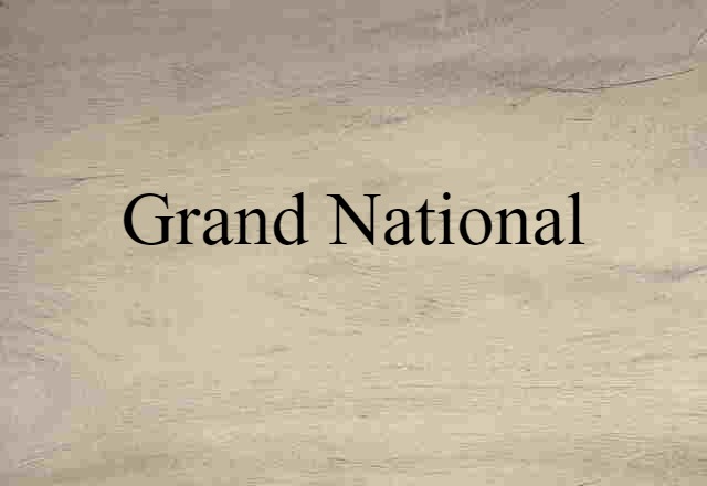 Grand National (noun) Definition, Meaning & Examples