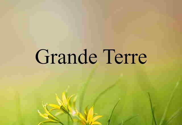 Grande-Terre (noun) Definition, Meaning & Examples