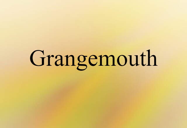 Grangemouth (noun) Definition, Meaning & Examples