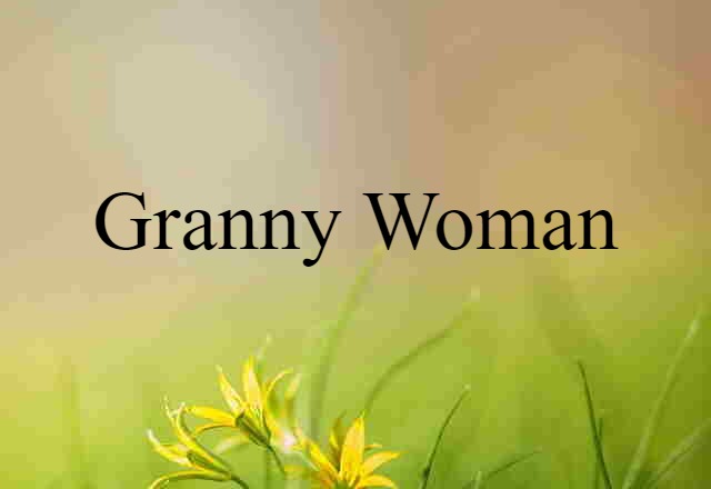 Granny Woman (noun) Definition, Meaning & Examples