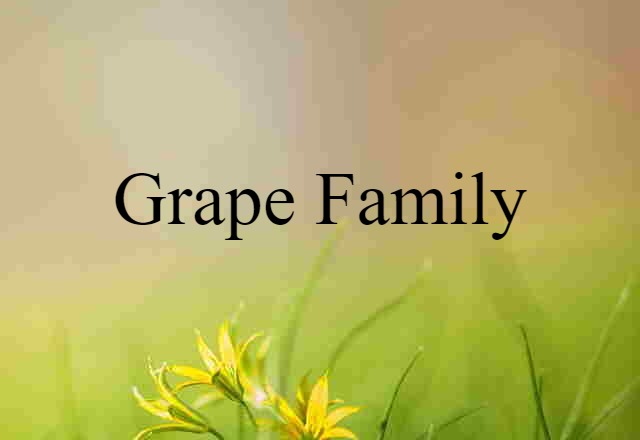 grape family