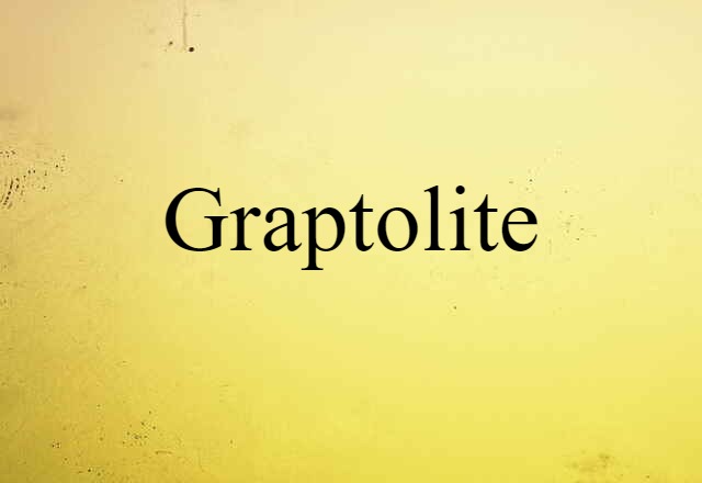 Graptolite (noun) Definition, Meaning & Examples