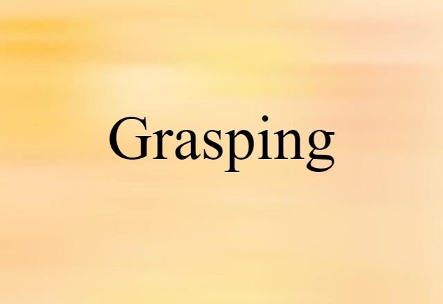 Grasping (noun) Definition, Meaning & Examples