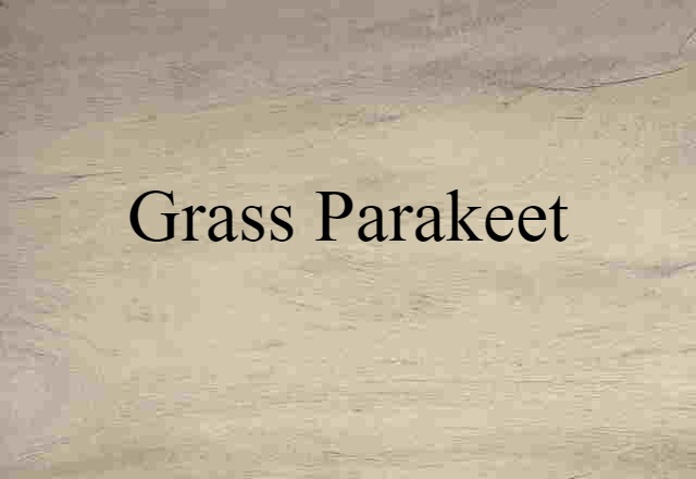 grass parakeet