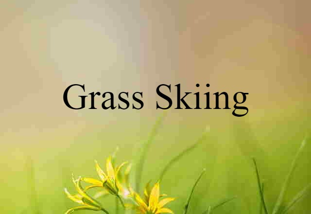 Grass Skiing (noun) Definition, Meaning & Examples