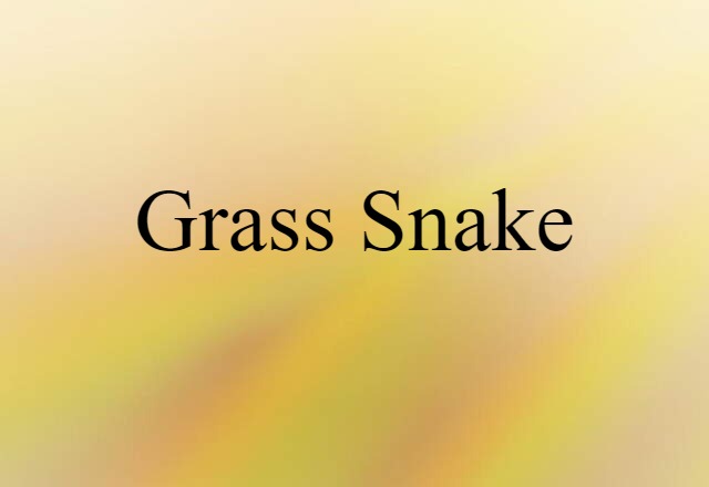 grass snake