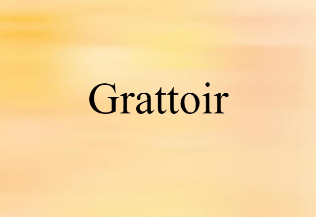 Grattoir (noun) Definition, Meaning & Examples