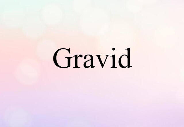 Gravid (noun) Definition, Meaning & Examples