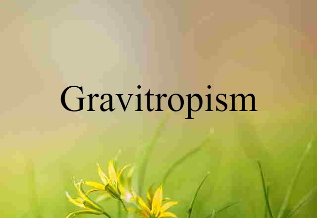 Gravitropism (noun) Definition, Meaning & Examples