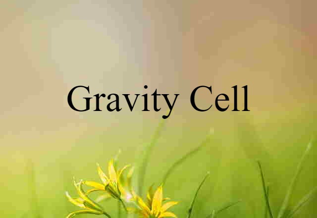 Gravity Cell (noun) Definition, Meaning & Examples