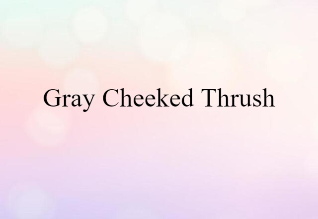 Gray Cheeked Thrush (noun) Definition, Meaning & Examples