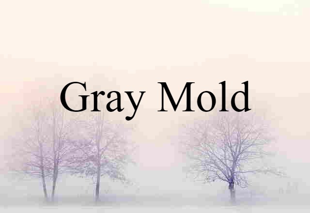 Gray Mold (noun) Definition, Meaning & Examples