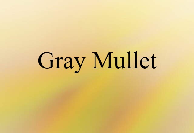 gray mullet