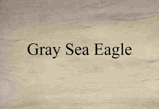 gray sea eagle