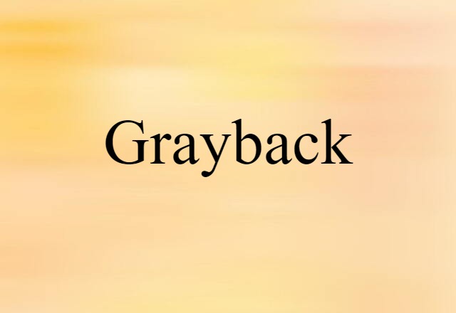 grayback