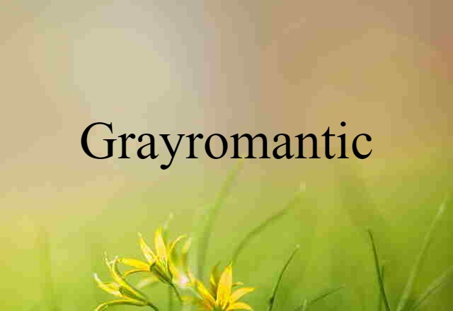 Grayromantic (noun) Definition, Meaning & Examples