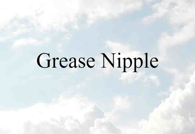 Grease Nipple (noun) Definition, Meaning & Examples