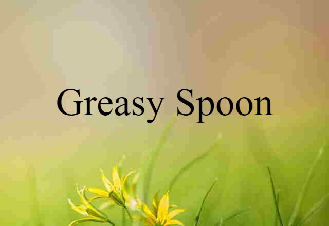 Greasy Spoon (noun) Definition, Meaning & Examples