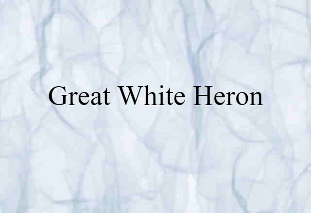 Great White Heron (noun) Definition, Meaning & Examples