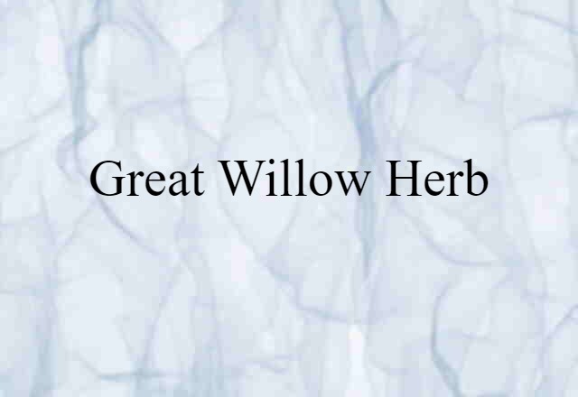 great willow herb