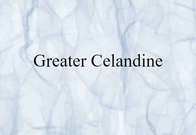 greater celandine