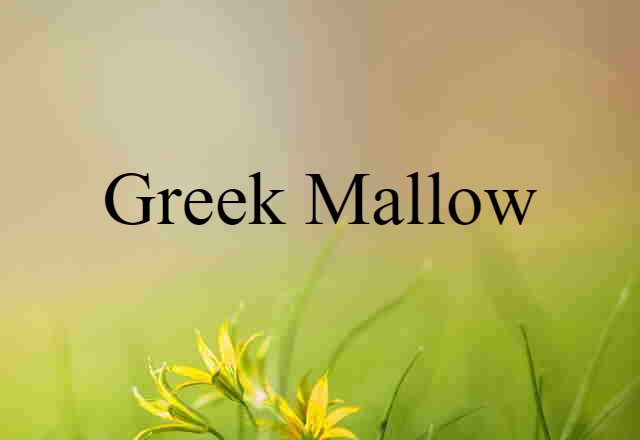 Greek mallow