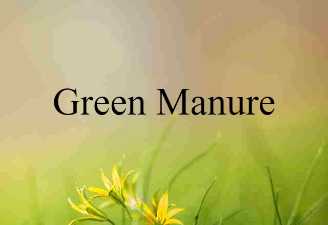 green manure