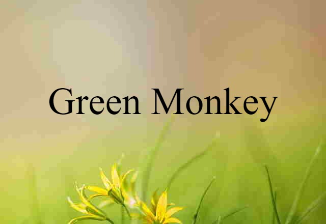 green monkey