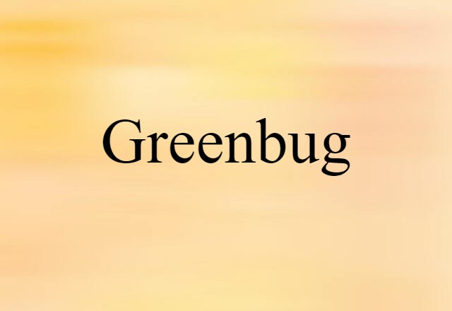 Greenbug (noun) Definition, Meaning & Examples