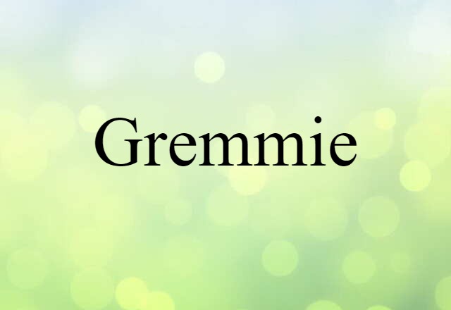 Gremmie (noun) Definition, Meaning & Examples