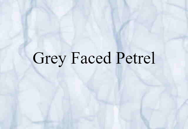 Grey-faced Petrel (noun) Definition, Meaning & Examples