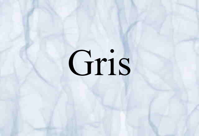 Gris (noun) Definition, Meaning & Examples