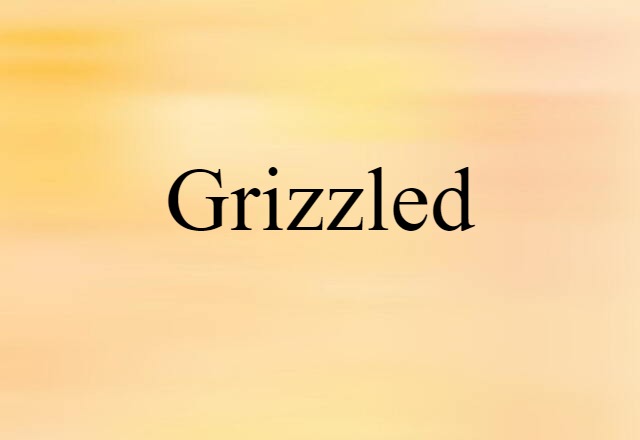 Grizzled (noun) Definition, Meaning & Examples