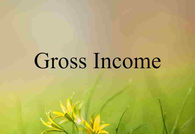 gross income