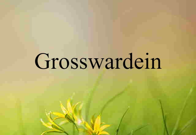 Grosswardein (noun) Definition, Meaning & Examples