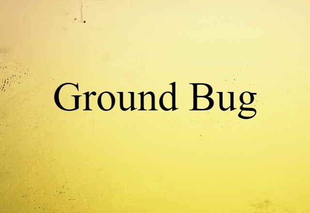 ground bug