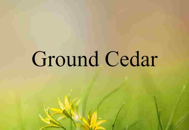 ground cedar