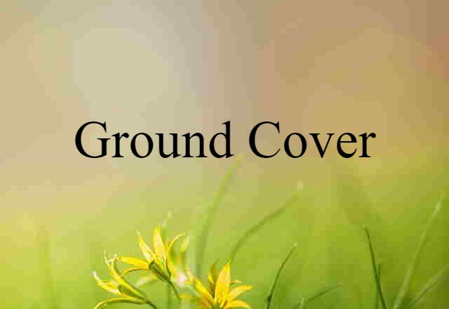 ground cover