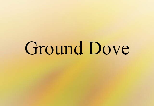 Ground Dove (noun) Definition, Meaning & Examples